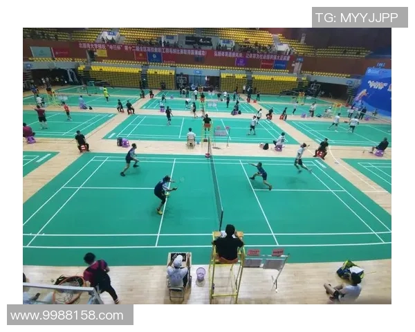 北京羽毛球队选拔赛心理素质分析与表现评估探讨